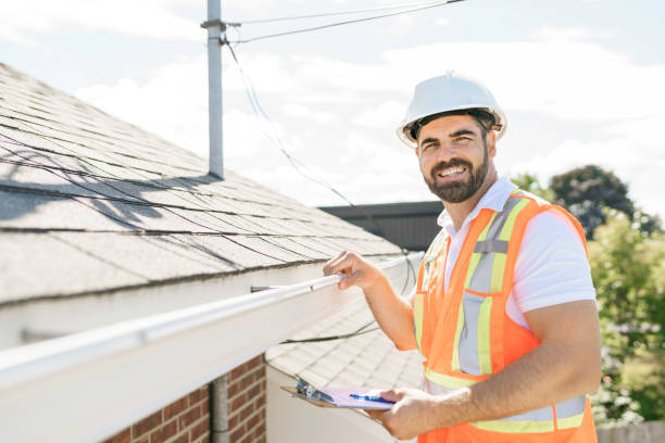 Roof Gutter Cleaning in Newington, VA