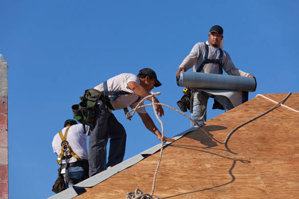Best Roof Gutter Cleaning  in Newington, VA