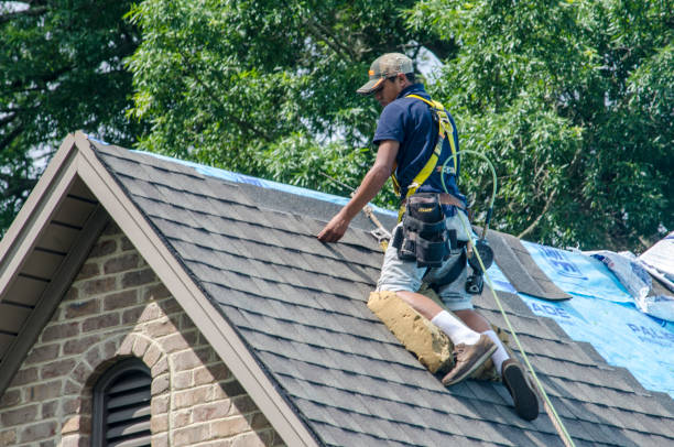 Best Roof Maintenance Services  in Newington, VA